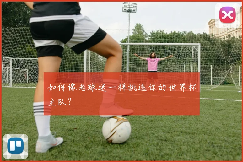 如何像老球迷一样挑选你的世界杯主队？