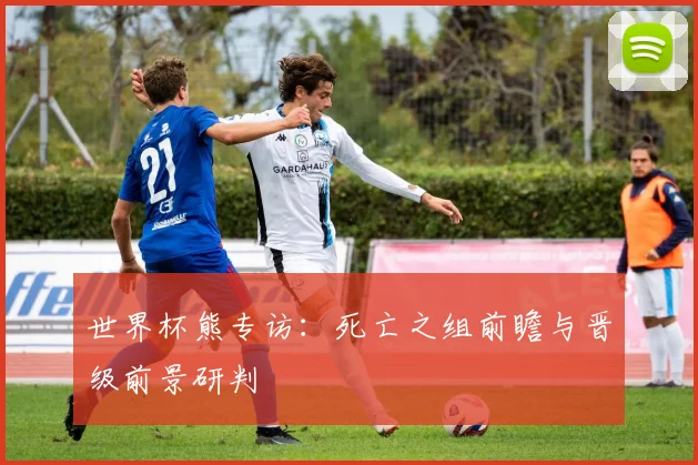 世界杯熊专访：死亡之组前瞻与晋级前景研判
