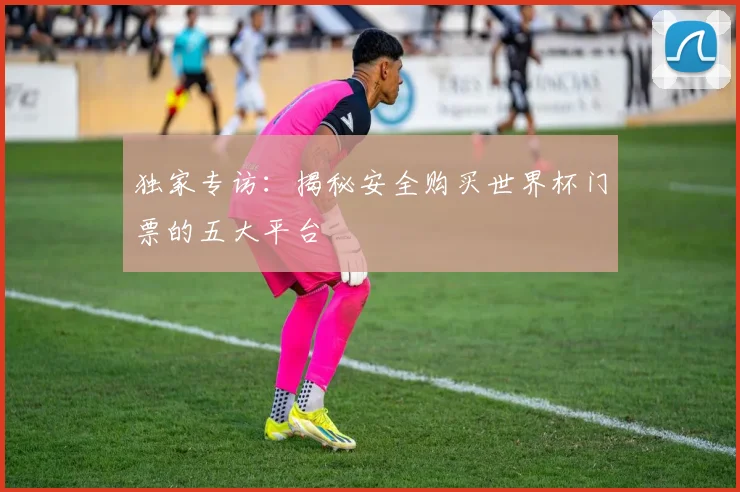 独家专访:揭秘安全购买世界杯门票的五大平台