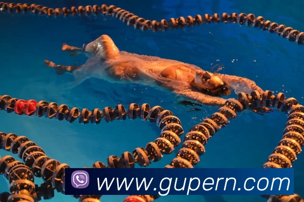 欧宝官网首页服务体系